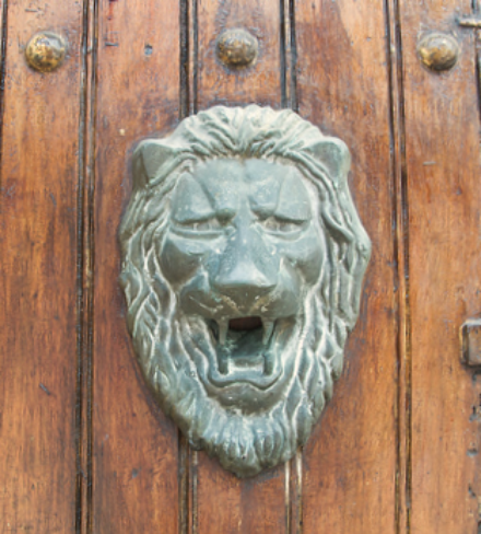 lion door knocker missing ring
